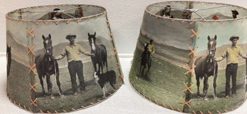 (2) Picture Printed Lamp Shades