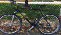 26” Specialized Hard Rock (Black)