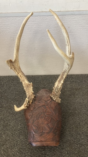 Decorative Antler Mount With Leather Work