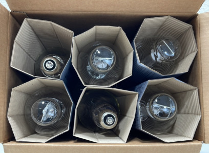 (6) 1000W GE Multi-Vapor Lamps