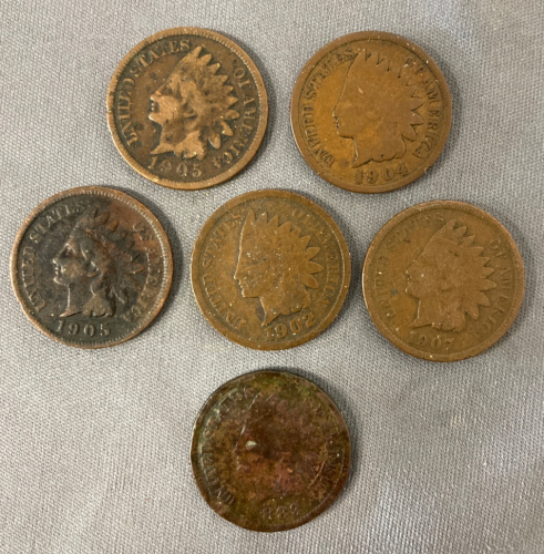 (6) Indian Head Cents