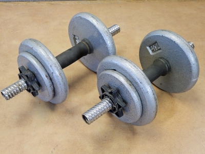 (2) Dumbbells w/40# of Weights