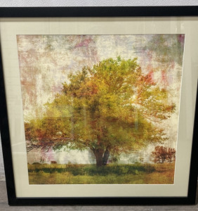 Square Framed Abstract Tree Print