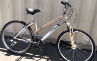 26” Schwinn Skyliner (Gold)