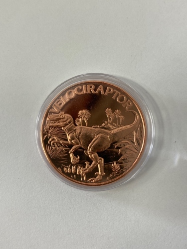 1 Troy Ounce Copper Coin