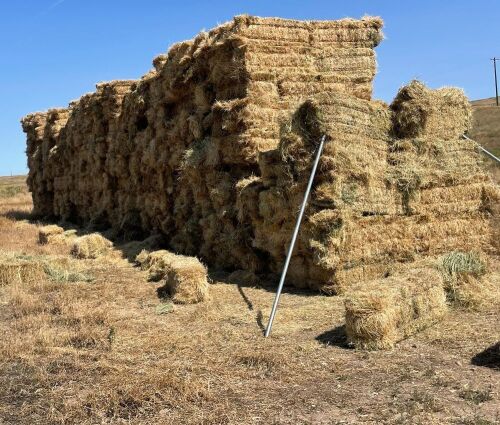 Valley East Fields (740) Bales Grass Hay- Located South of Boise