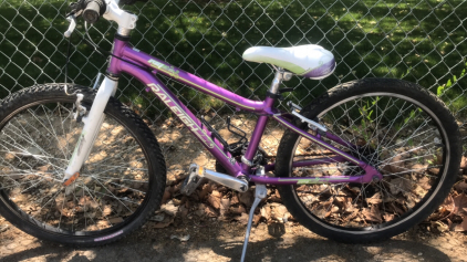 24&rdquo; Raleigh Ivy (Purple/White)