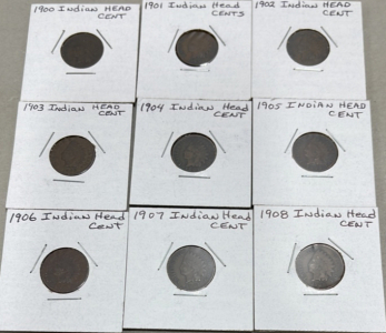 (9) Indian Head Cents Dates 1900-1908 Carded