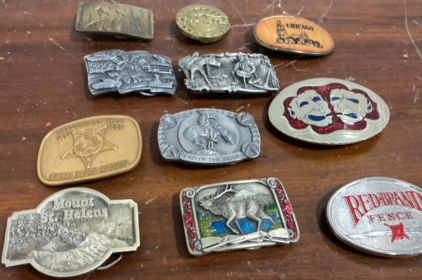 (1) Chicago Belt Buckle, (1) Red Brand Fence Belt Buckle, (1) Mount St. Helens Belt Buckle, (1) Teamster Belt Buckle, and More Belt Buckles