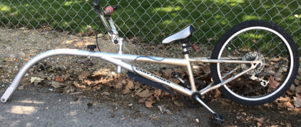 20&rdquo; Gary Fisher Free Loader (Gold/Silver)