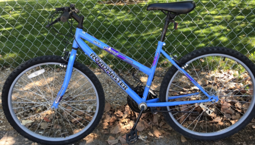 26” Roadmaster Mt. Fury (Blue/Purple)