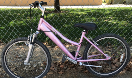 24” Schwinn High Timber (Pink)