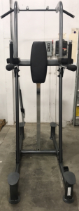 Multi-Function Workout Station