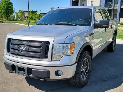 2010 Ford F-150