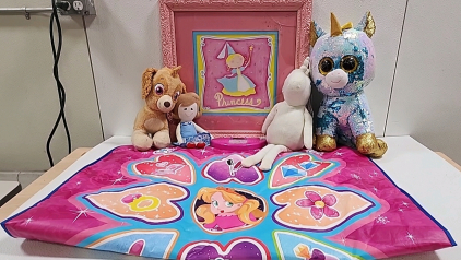 Princess Picture in Frame, Princess Game Pad, (4) Stuff Animals/Doll