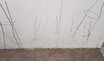 (5) Tomato Cages