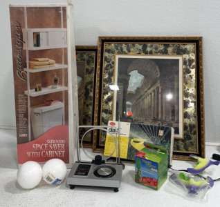 (2) Paintings, Bathroom Space Saver, Multi-Pattern Sprinkler, Tomato Formula, Radio Shack* Color Eagle 100, Styrofoam Balls, And Balancing Birds