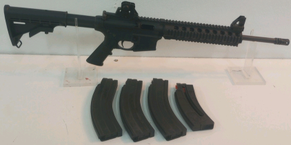 Smith and Wesson M&P 15-22, .22LR Semi Automatic Rifle