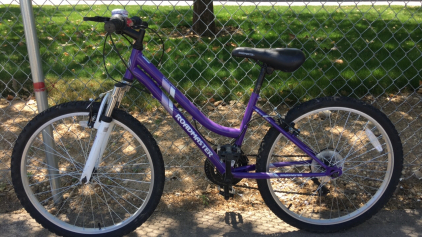 24&rdquo; Roadmaster Granite Peak (Purple/White)