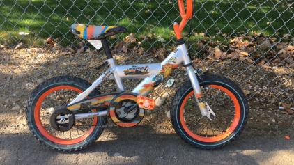 14&rdquo; Huffy Lion Guard (Silver/Orange)
