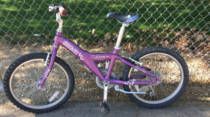20&rdquo; Giant MTX 125 (Purple)