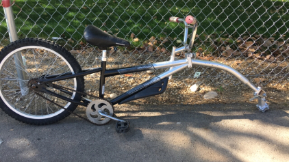 WeeRide CoPilot Trailer Bike (Silver)