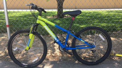 24&rdquo; Nishiki Pueblo (Yellow/Blue)