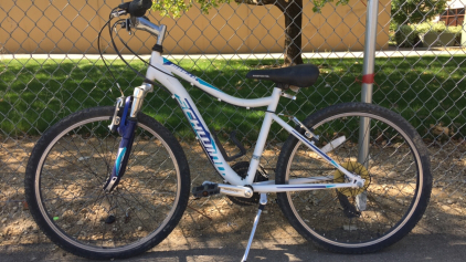 24&rdquo; Schwinn Ranger (White)