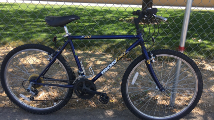 26&rdquo; Iron Horse (Blue)