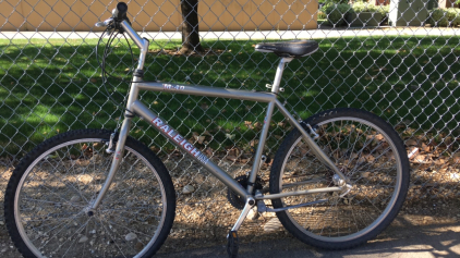 26&rdquo; Raleigh M40 (Grey)