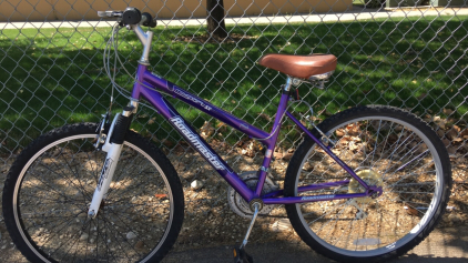 26&rdquo; Roadmaster Mt. Sport SX (Purple)