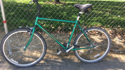 26&rdquo; Norco Katmandu (Green)