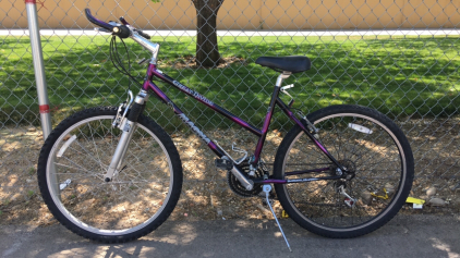 26&rdquo; Magna Great Divide (Purple)