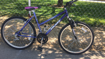26&rdquo; Huffy Stone Mountain (Purple )