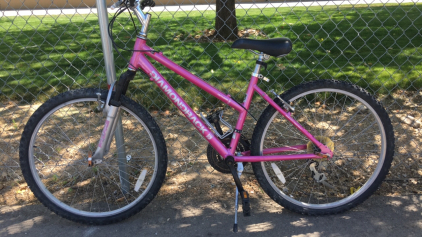 26&rdquo; Diamond Back Outlook (Pink)