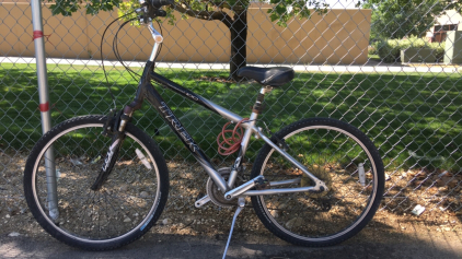 26&rdquo; Trek Navigator 100 (Black/Grey/Silver)
