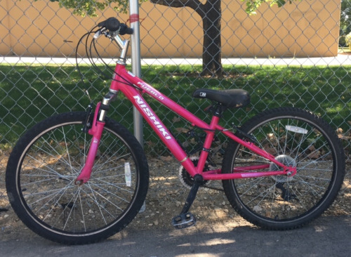 24&rdquo; Nishiki Pueblo (Pink)
