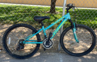 24&rdquo; Nishiki Pueblo (Teal)