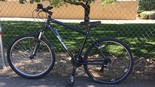 26&rdquo; Raleigh Eva2 (Black)