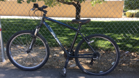 26&rdquo; Raleigh Eva2 (Black)
