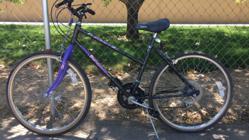 26” Free Spirit Fast Back (Black/Pink/Purple)