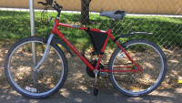 26” Roadmaster Eagle Point (Red/Grey)