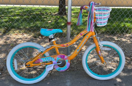 18&rdquo; Schwinn Elise Youth Frame (Orange)