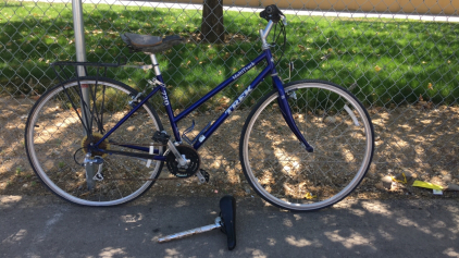 24” Trek Multi Track (Blue)