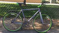 700C Trayl Bike (Lavender/Green )