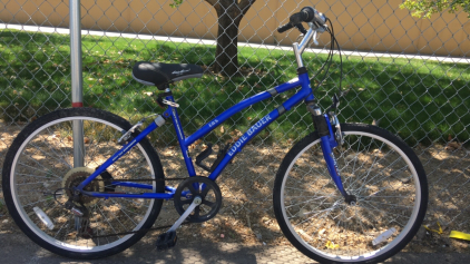 26” Eddie Bauer (Blue)