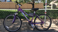 26” Schwinn (Purple/White/Blue)