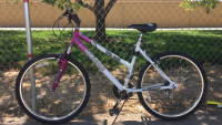 26” Magna Great Divide (White/Pink)