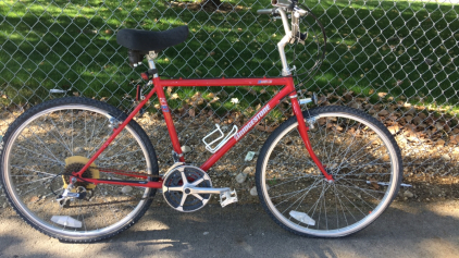 Bridgestone City Limit CB3 (Red)