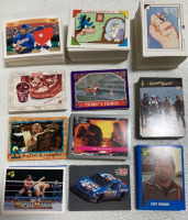 Assorted Collectible 90’s Pop Culture Cards: Disney, Looney Tunes, Wrestlemania, Terminator 2 and more